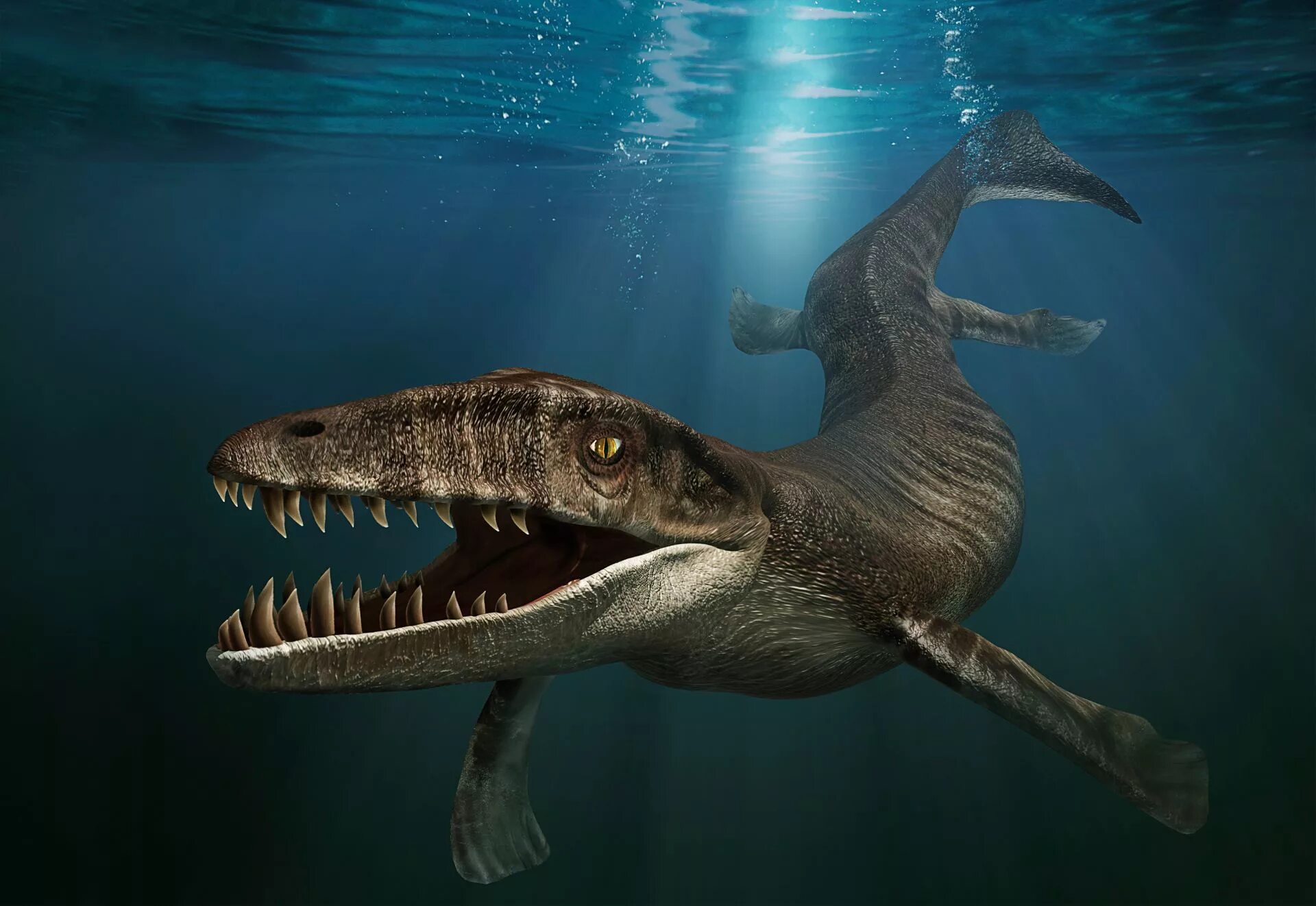 Опасные динозавры в мире. Дакозавр (Dakosaurus). Шастазавр Мозазавр. Дакозавр морской крокодил. Мозазавр мир Юрского периода.