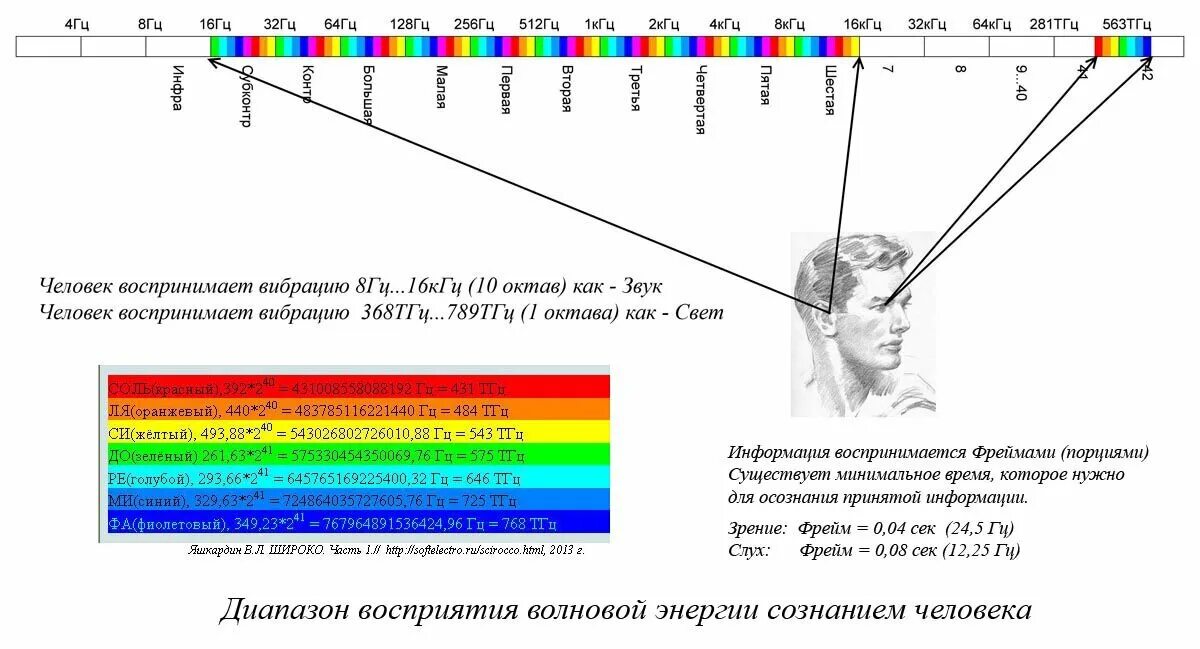 Сколько герц на 12 про. Частота Гц. Диапазон восприятия человека. Частота человека в Герцах. Шкала звуковых частот.