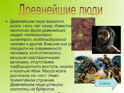 Мини сообщение о человеке