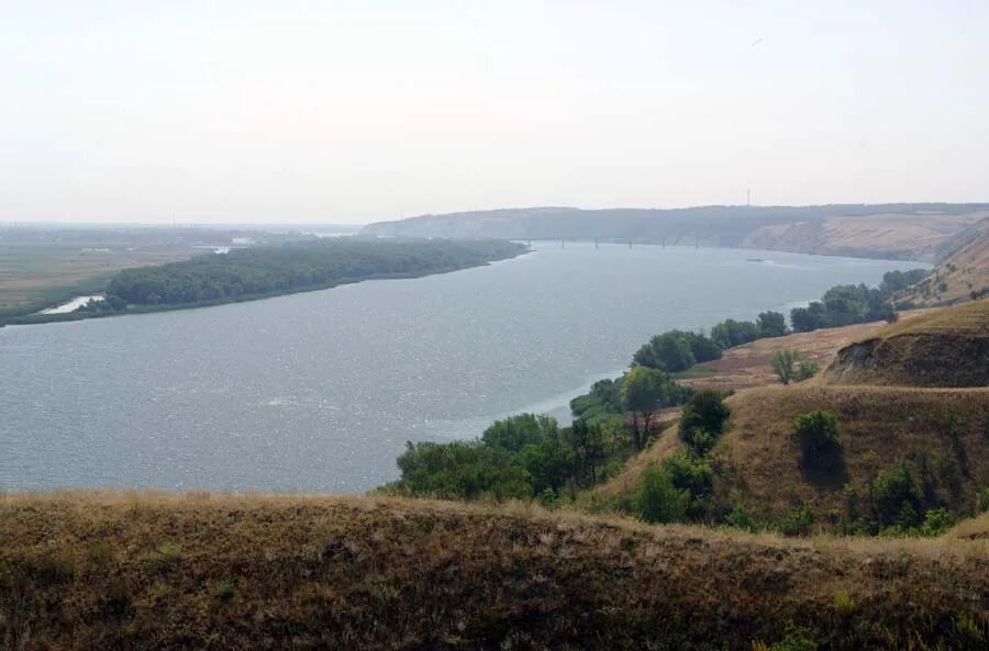 Калач волга