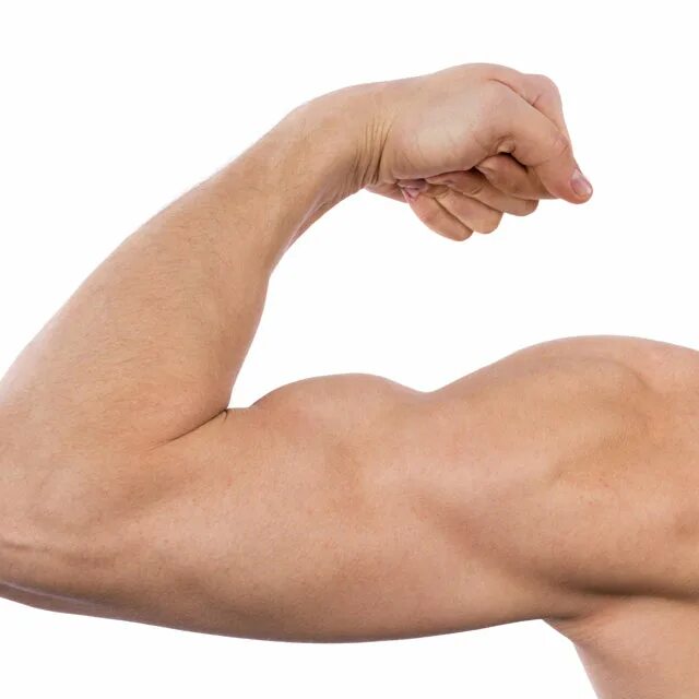 Рука без мышц. Тонкий бицепс. Ладонь качка. Мускулы руки. Рука без мышц.