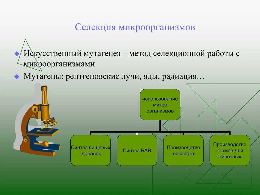 Методы селекции микроорганизмов мутагенез. Методы селекции микроо. Методы селекциции микроорганизмов. Методы селекциимикроорган змов.