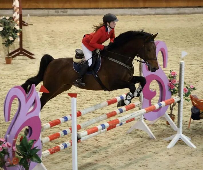 Конкур подарки. Купер шкарпет конкур. Сандро чихладзе мастер спорта конный. Соревнования по конкуру афиша. Конкур подарки.