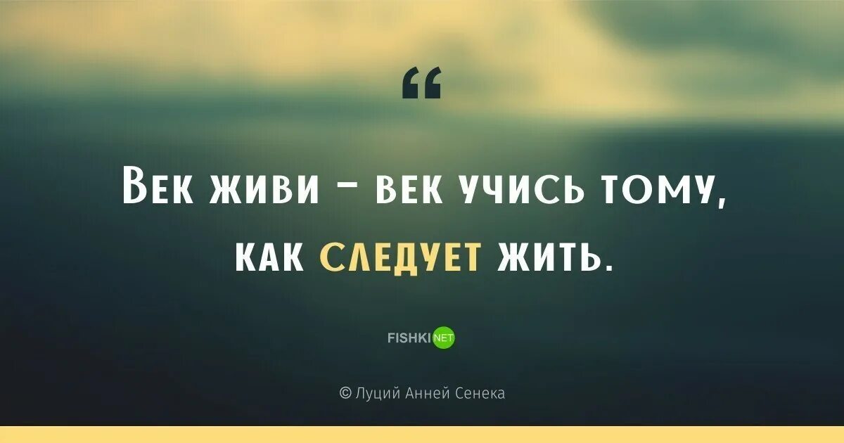 Два века не проживешь глава 97. Век живи век учись. Фраза век живи век учись. Век живи век учись продолжение цитаты. Век живи век учись продолжение.