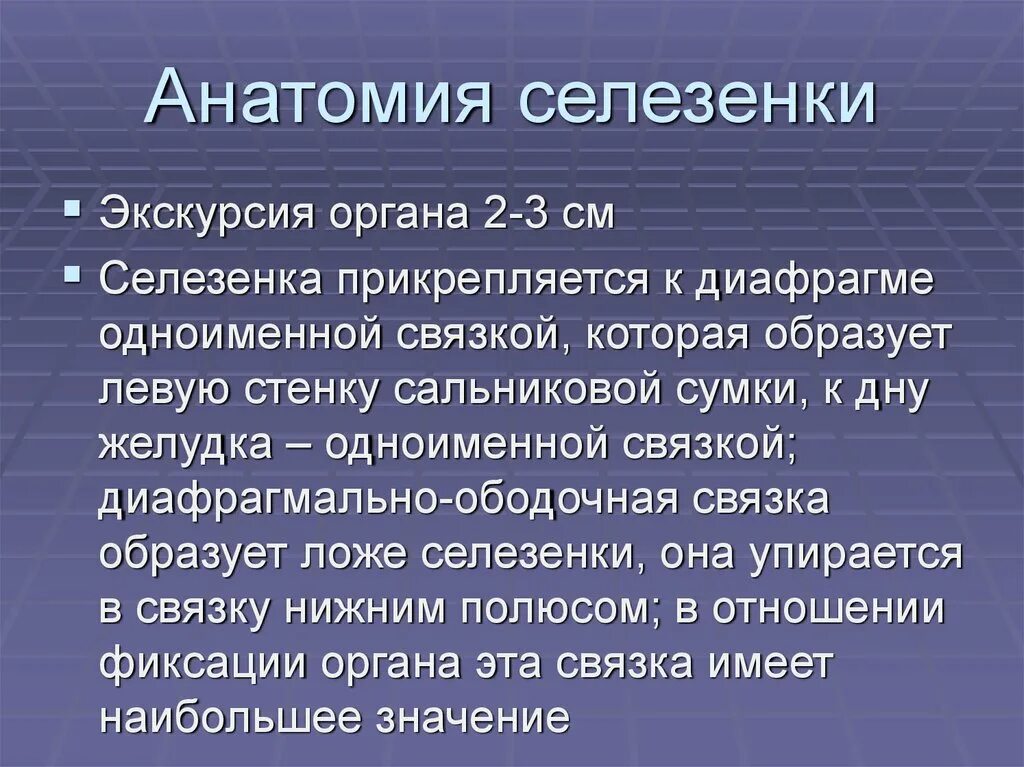 Лизосомные болезни. Селезенка анатомия. Ультразвуковая анатомия селезенки. Увеличенная селезенка у ребенка 1 год. Спленомегалия что это за болезнь.