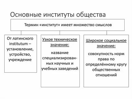 Внимание общества к их