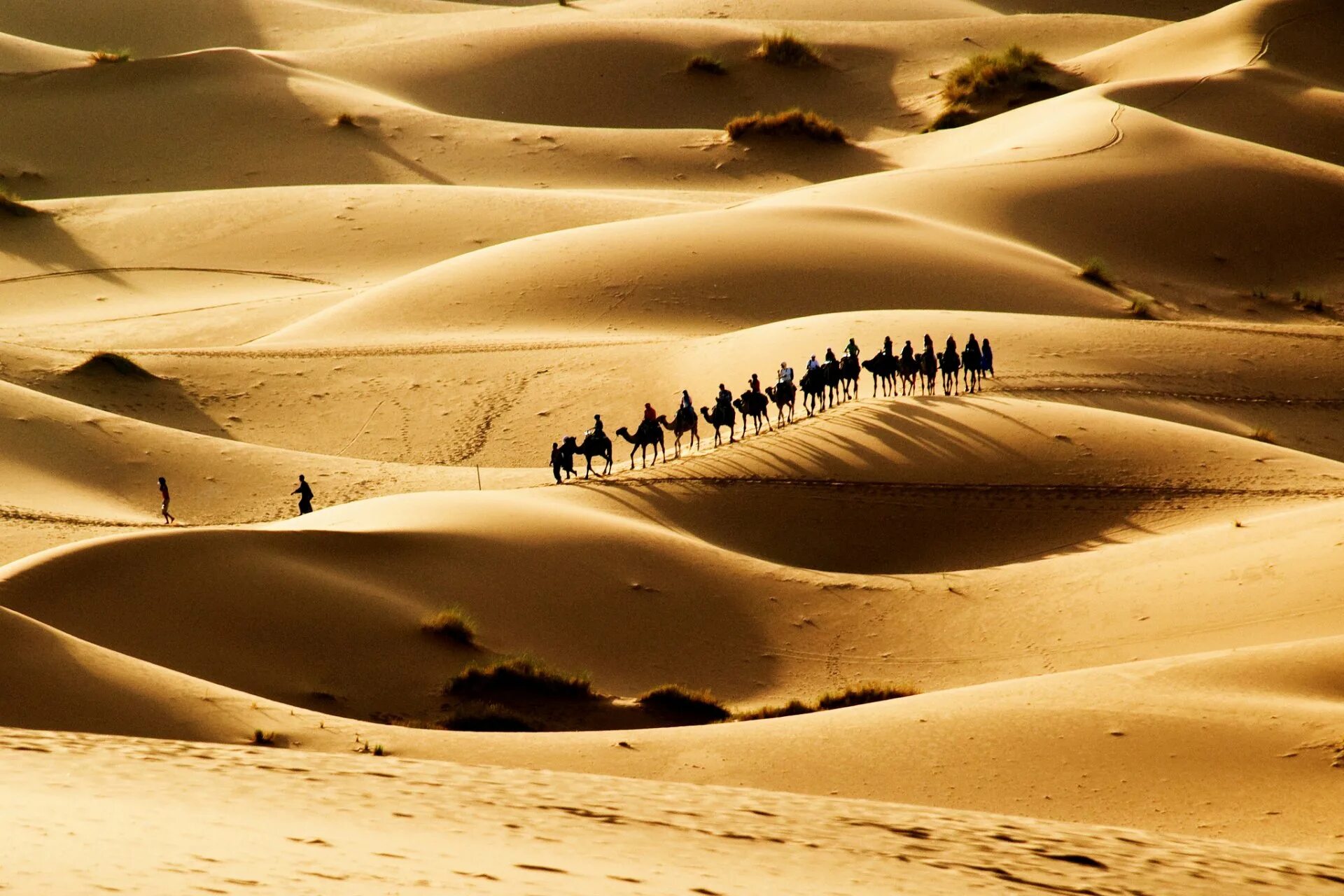 Тема караван. Пустыни Йемена Барханы. Пустыня Караван Барханы. Пески дюн и барханов.