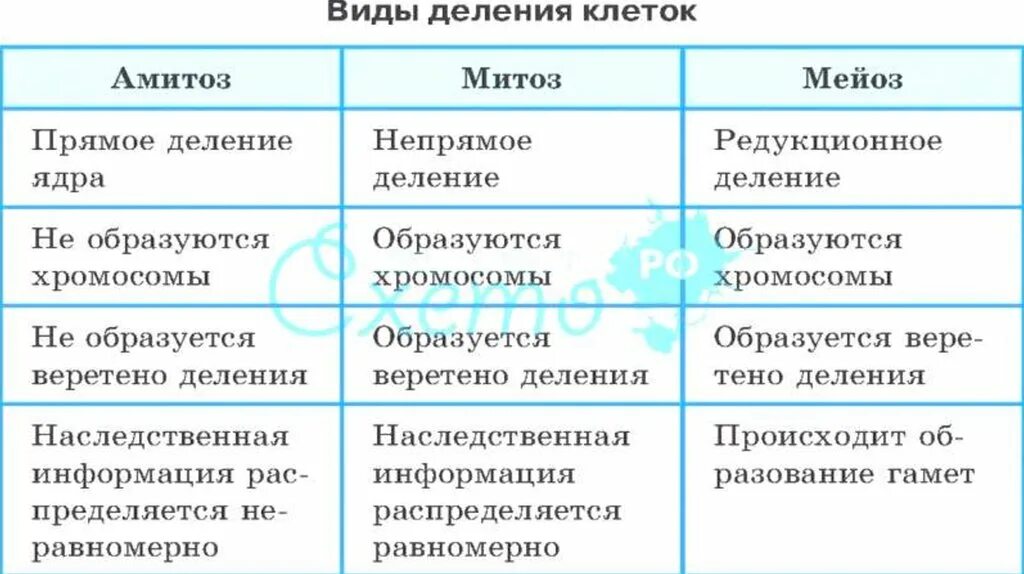 Отличие митоза от амитоза. Таблица 2 основных способа деления клеток. Способы деления клетки таблица. Сравните митоз и амитоз.. Сходство и различие мейоза и митоза таблица