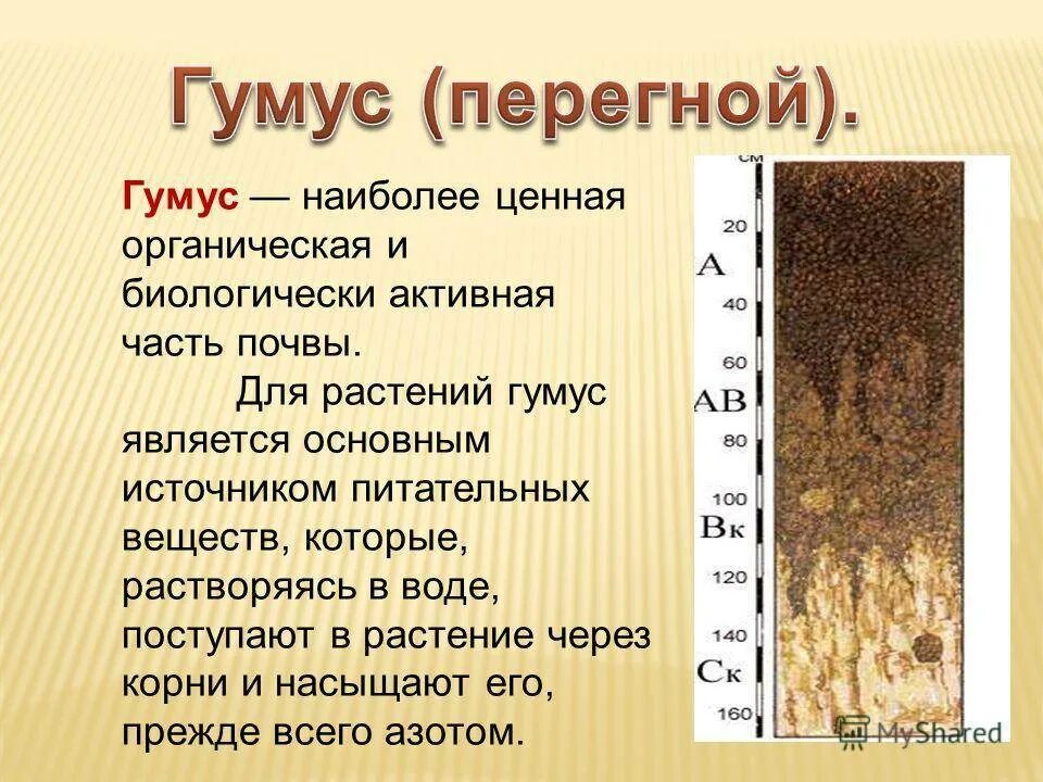 Перегной образуется из. Перегной гумус. гумусовые почвы. гумус почвы. черноземы почвы гумус.