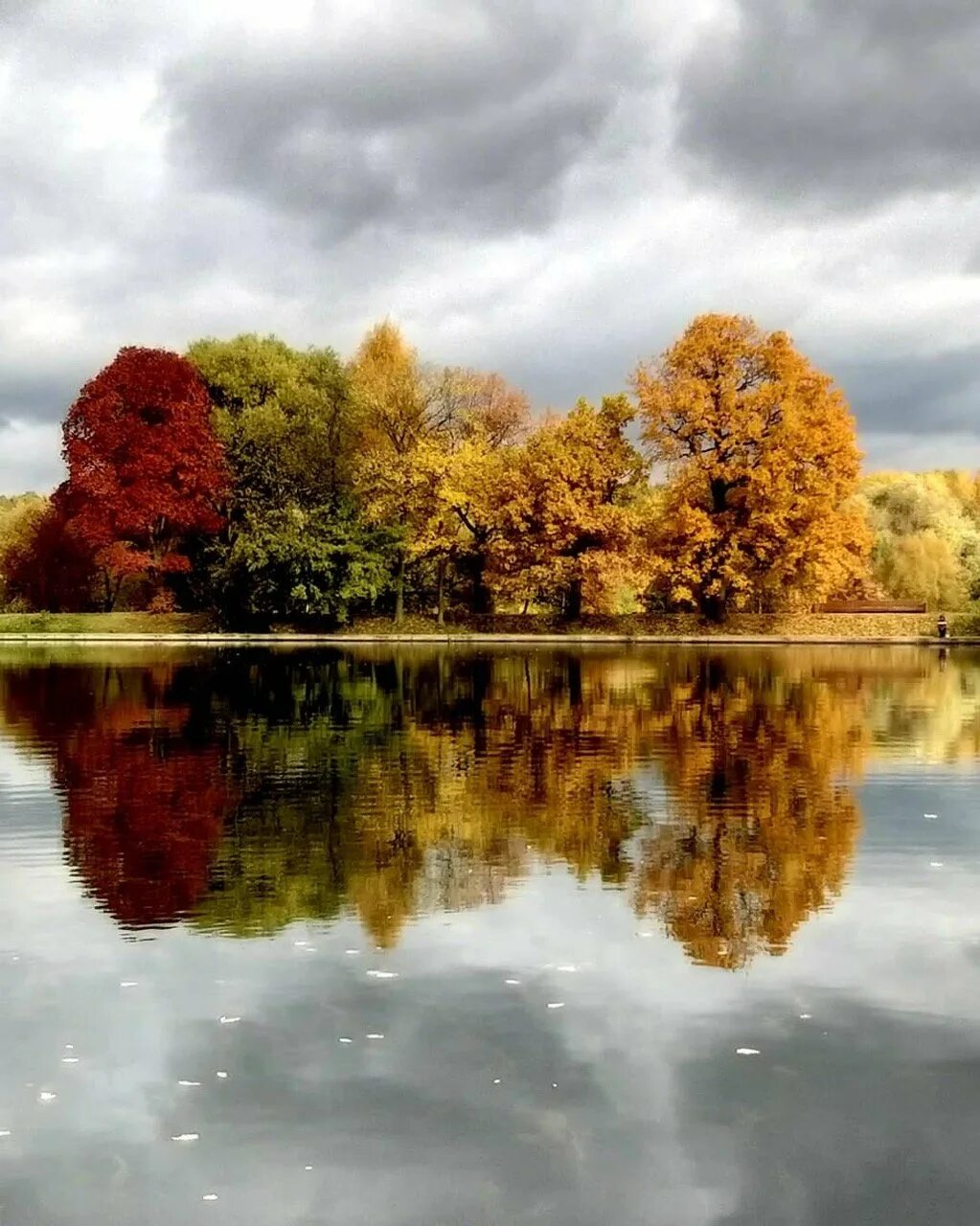Природа осень. Была пора года осень. Пейзаж 4 времени года. Осень. Осень пора года.