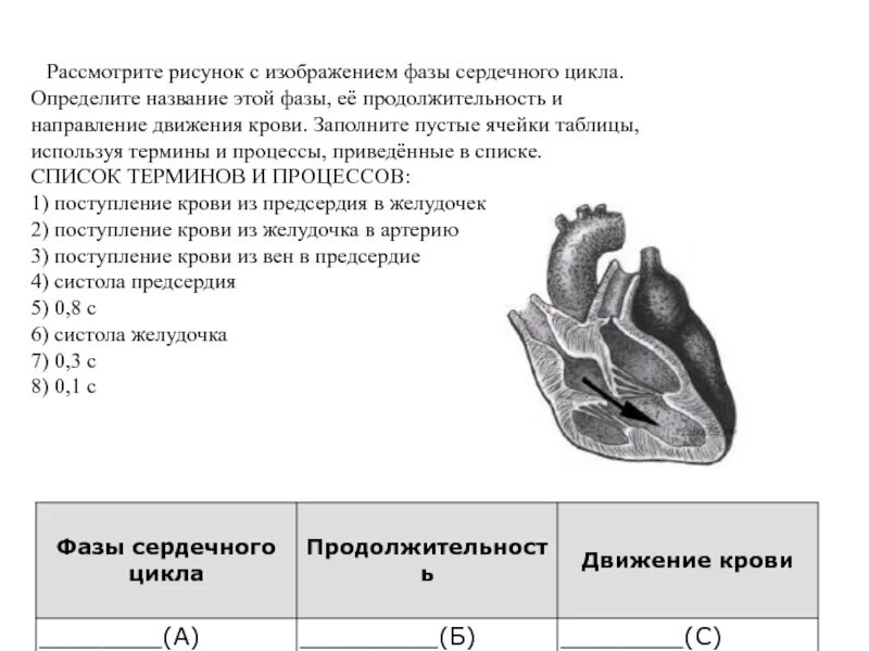Рассмотрите рисунок с изображением фазы сердечного цикла. Фазы сердечного цикла длительность фазы направление движения крови. длительность фаз сердечного цикла. фазы сердечного цикла продолжительность движение крови поступление. фазы сердечного цикла продолжительность движение крови.