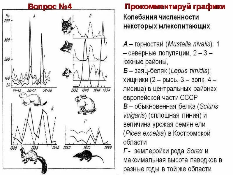 Численность популяции рыси в лесу на протяжении. Колебания численности популяции. графики колебания численности. регуляция численности популяции. схема регуляции численности популяции.