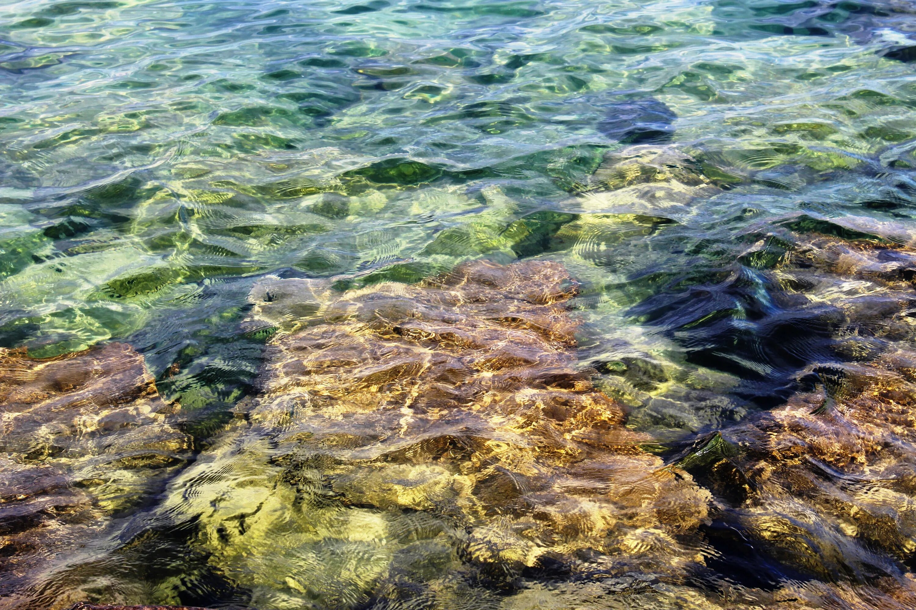 И тихая прозрачная вода. Байкал водоросли спирогиры. Водоросли Балтийского моря. Дно реки. Прозрачная вода море.