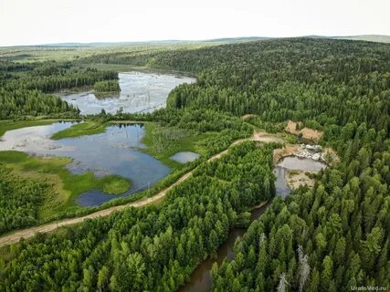 Серебряный край