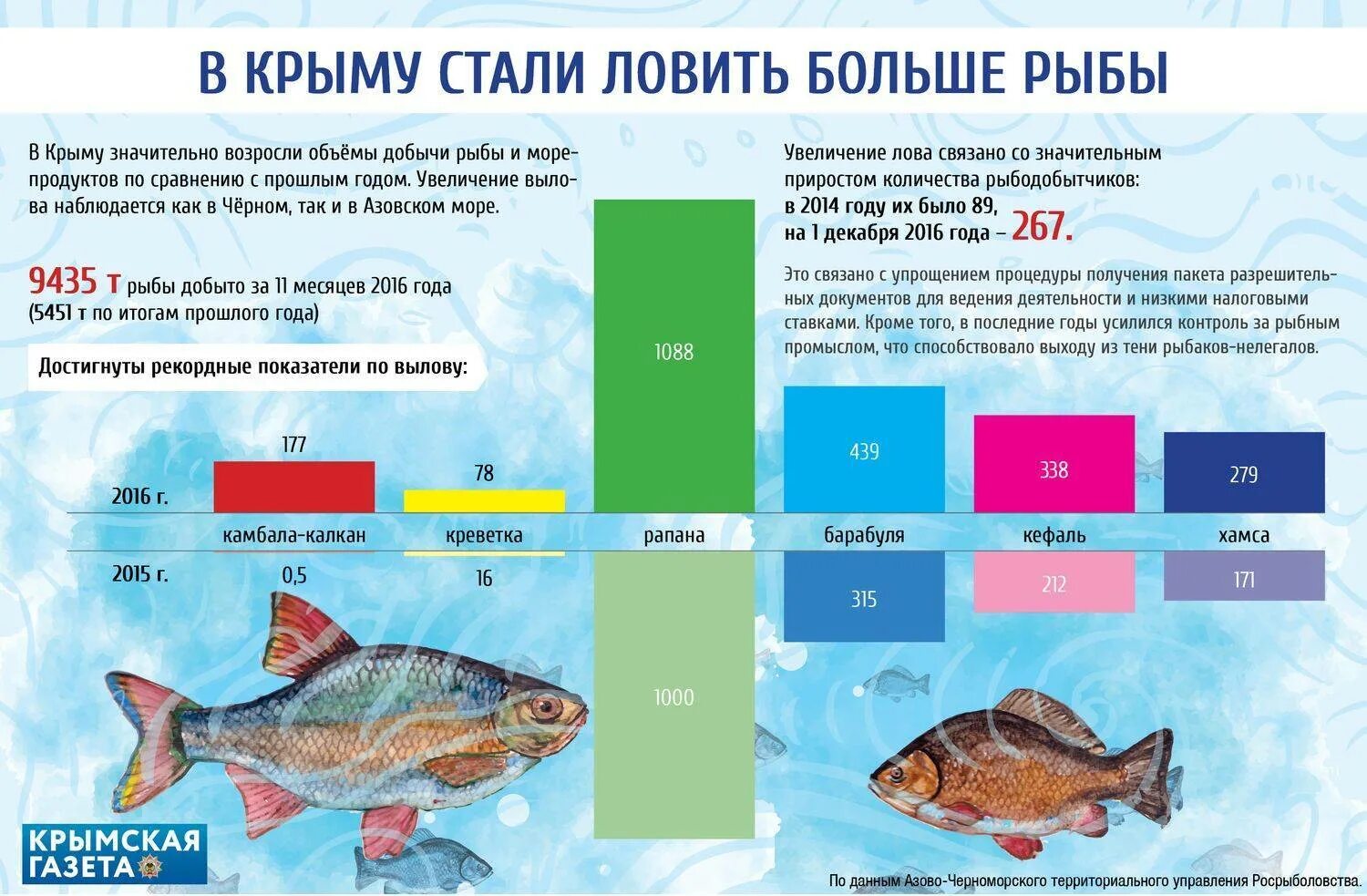 Виды рыб в Крыму. Крымская рыба. Виды Черноморской рыбы в Крыму. Рыба в Крымском море.