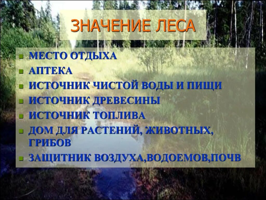 Презентация на тему лес. Лес и человек презентация. Роль леса для человека. Лес и человек презентация 4 класс.