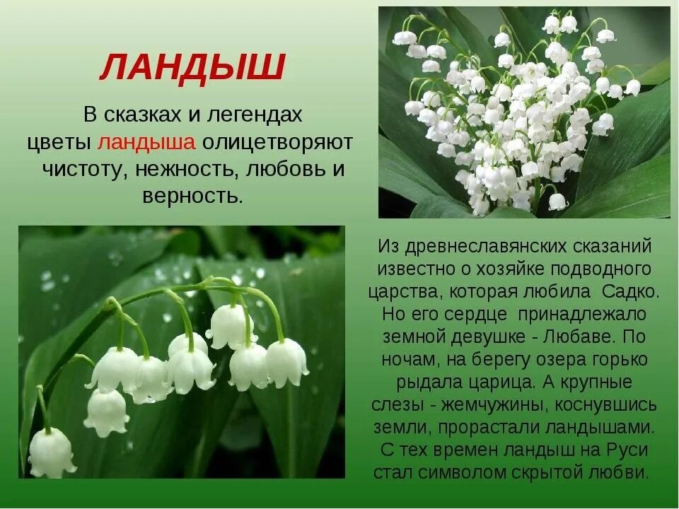 Какая информация вынесена в легенду