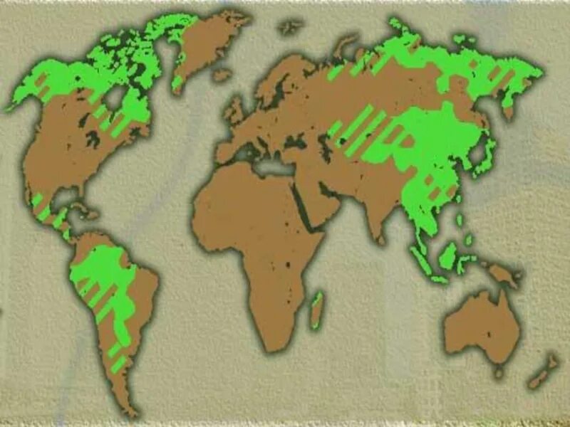 Американоидная раса распространение. Европеоидная раса место обитания. Европеоидная раса карта расселения. Расселение белой расы. Ареал обитания европеоидной расы.