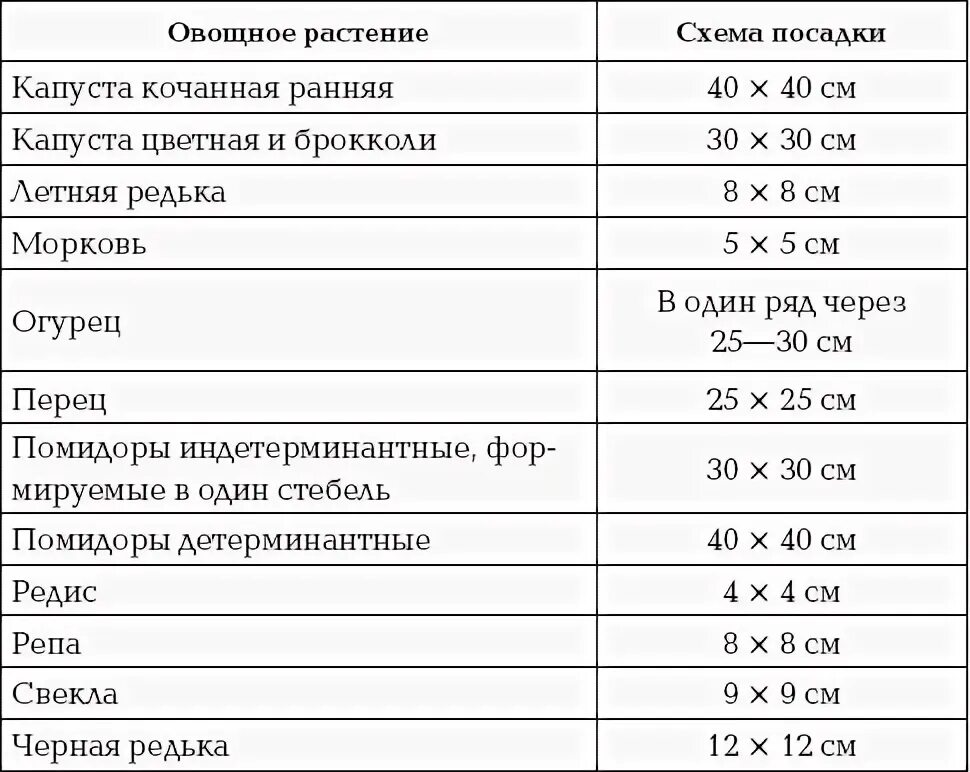 На каком расстоянии сажать капусту