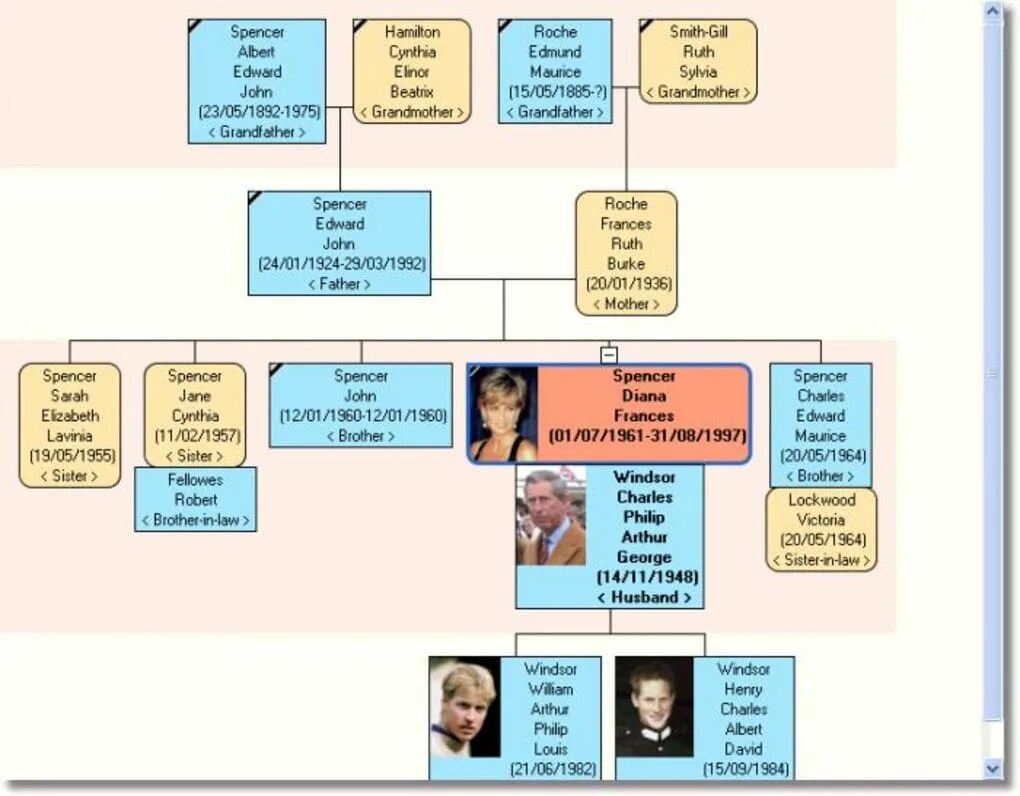 Agelong tree. Agelong tree. Генеалогическое дерево принцессы дианы. Agelong tree. Древо жизни программа.