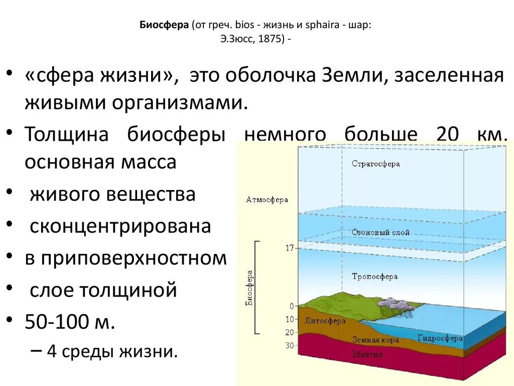 Основателем биосферы является. Биосфера. биосфера это в экологии. биосфера сфера жизни. толщина биосферы.