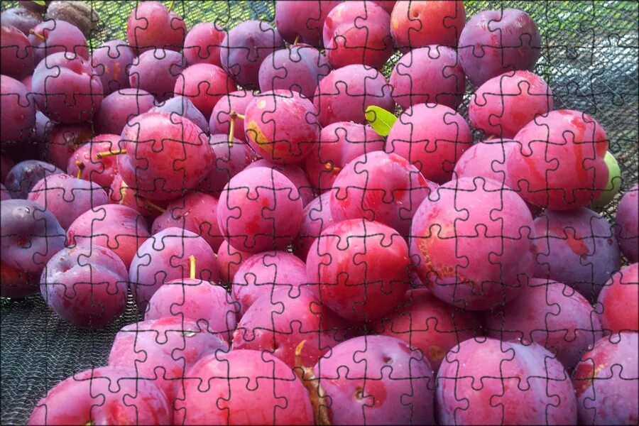 Сладкая слива. Алыча шарафуга. Слива red plum. Слива китайская аленушка. Слива фрукт.