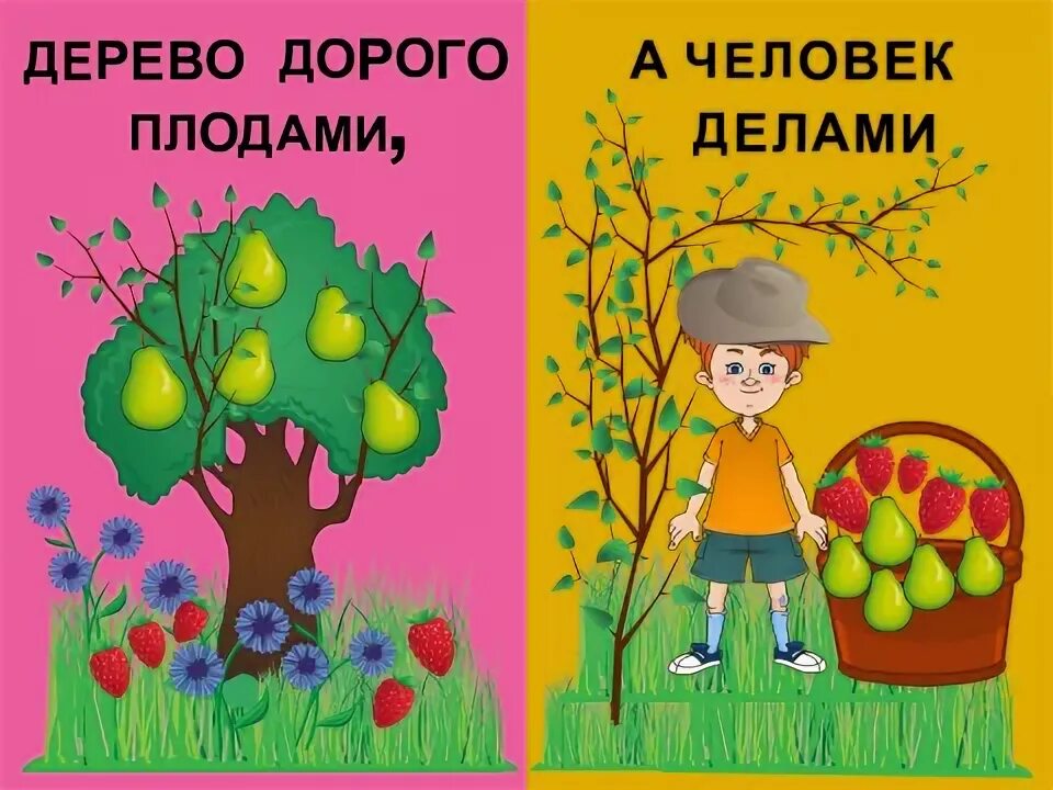 Пословица дерево в плодах. Дерево дорого плодами а человек делами. Дерево по плодам а человека по делам. Дерево в плодах а человек в делах. Пословица дерево ценят по плодам а человека по делам.