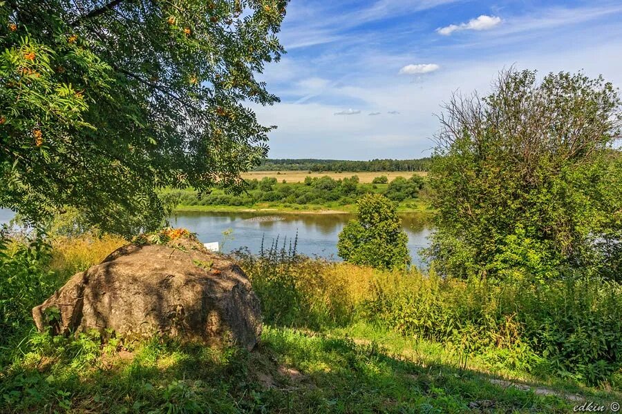 Тарусское время. Таруса берег Оки. Цветаева Таруса Ока. Река Ока Таруса. Берег реки Таруса.