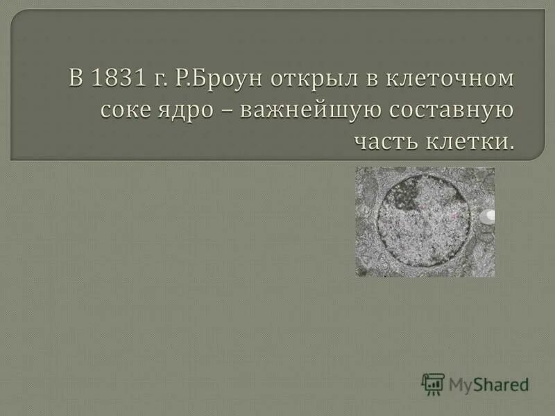 мельчайшей структура