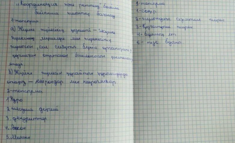 Информатика 7 сынып 2 тоқсан. Биология 9 сынып3-тоқсан БЖБ-2 Тараз. Көбею 8сынып БЖБ биология.