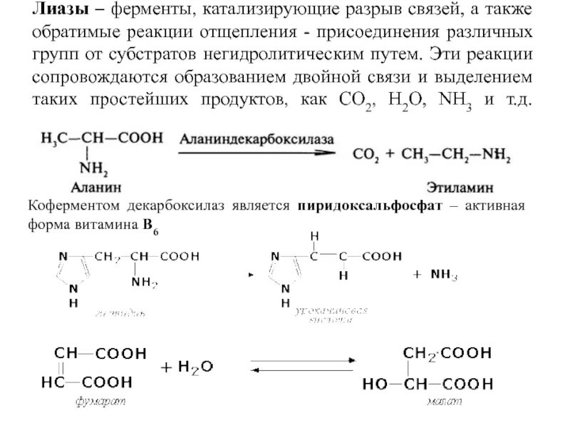 Количественного определения ферментов. ЛИАЗЫ реакции катализируемые ферментами. ЛИАЗЫ ферменты. ЛИАЗЫ катализируют реакции. ЛИАЗЫ класс ферментов.