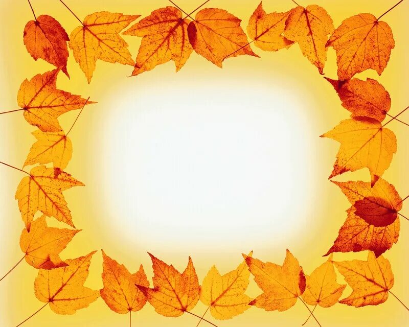Осенняя рамка раскраска. Рамка раскраска для детей. Рамка из листьев черо белая. Рамка из листьев дуба. Желтые листья рамка.