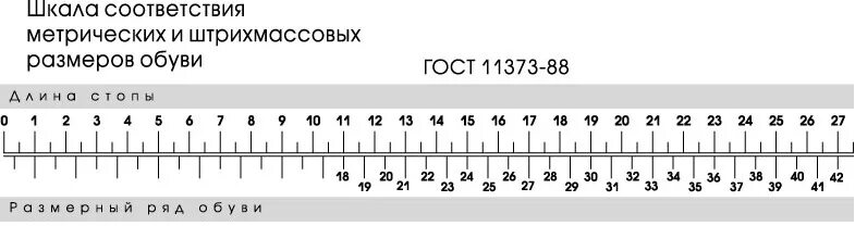 Российская сетка обуви. Линейка для обуви измерения размера обуви 110-320. Линейка размера обуви в сантиметрах. Шкала размеров обуви женской. Размер обуви по линейке.