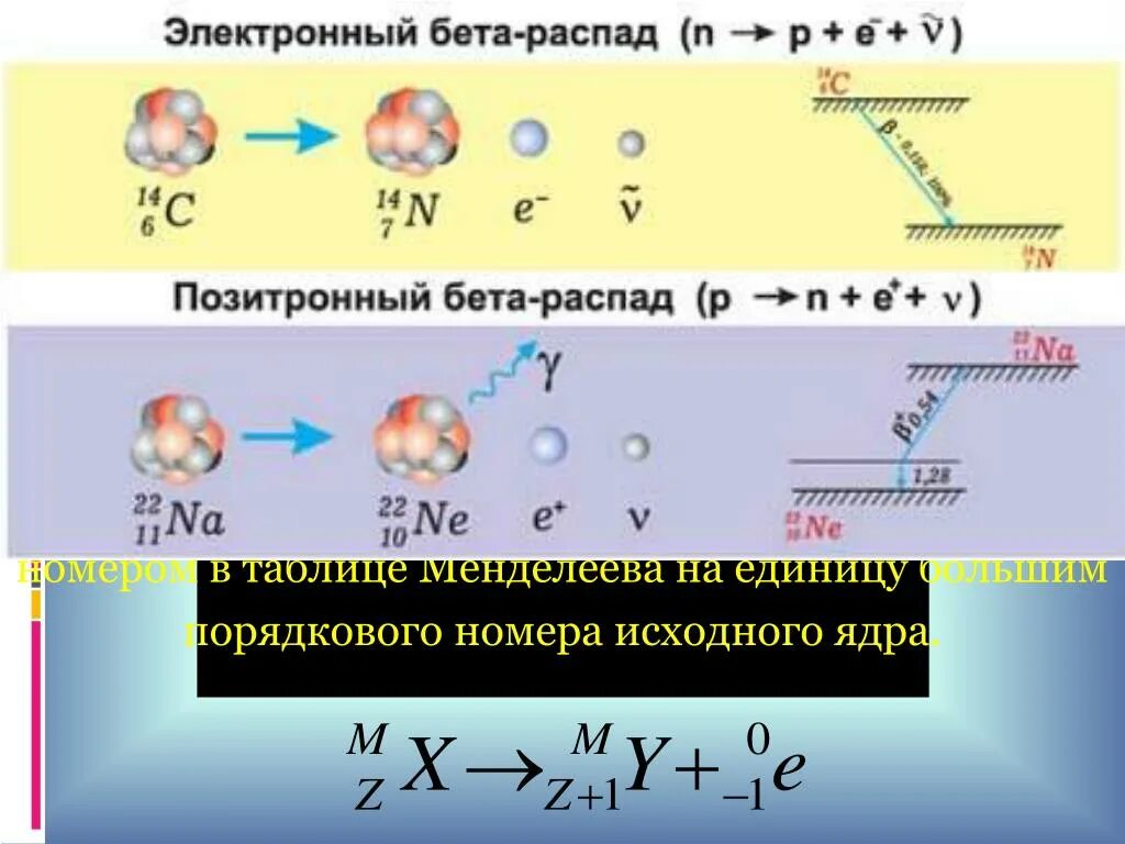 5 бета распадов. Электронный бета распад. Электронный бета распад формула. Бета распад ядра. Электронный и позитронный бета распад.