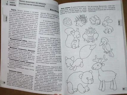 Изо комаровой по старшей группе