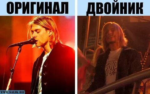 Почему курт