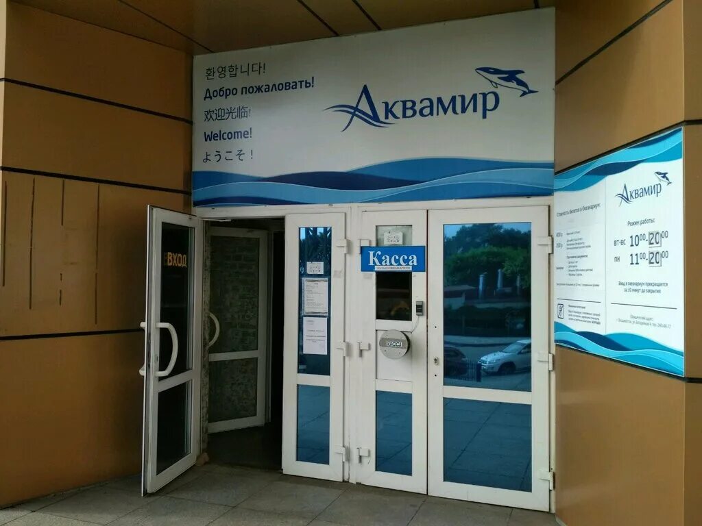 Морской музей владивосток. Батарейная 4 владивосток. Океанариум владивосток дельфинарий. Океанариум аквамир владивосток. Аквамир, владивосток, батарейная улица, 4.