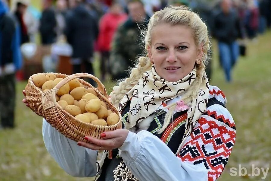 Можно ли сейчас в беларусь. Беларусь картошка. Белорусская картошка. Белорусы. Картофель в Белоруссии.