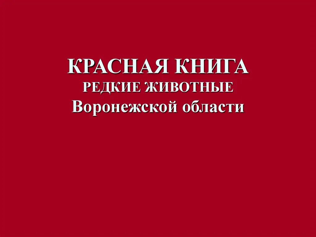 Красная Книга Воронежской Области Животные Фото - Mixyfotos.ru