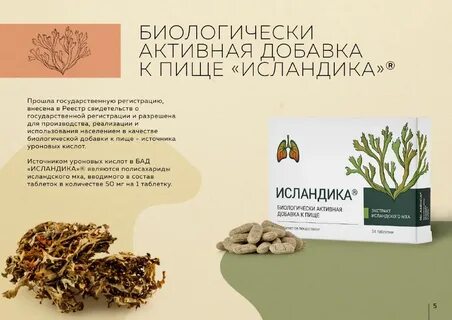 Исландика