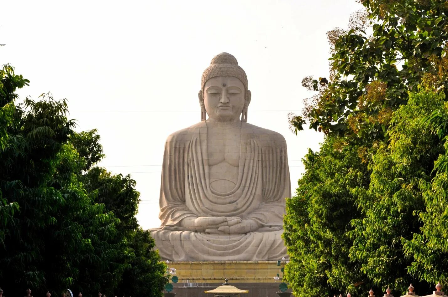 Дорог будды. Статуя Будды в Индии. Будда Шакьямуни статуя. Статуя Будды в храме Индия. Шакьямуни статуя в Индии.
