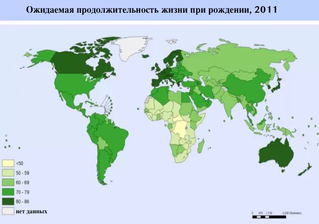 Сколько живут карте