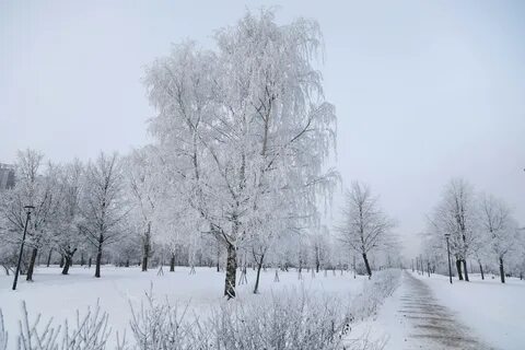 3 зимы минус