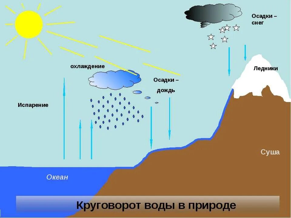 Круговорот воды в природе 6 класс география. Круговорот воды схема 11 класс. Круговорот воды география 5 класс. Процесс мирового круговорота воды. Движение воды в озере