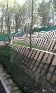 Шато пино село федотовка