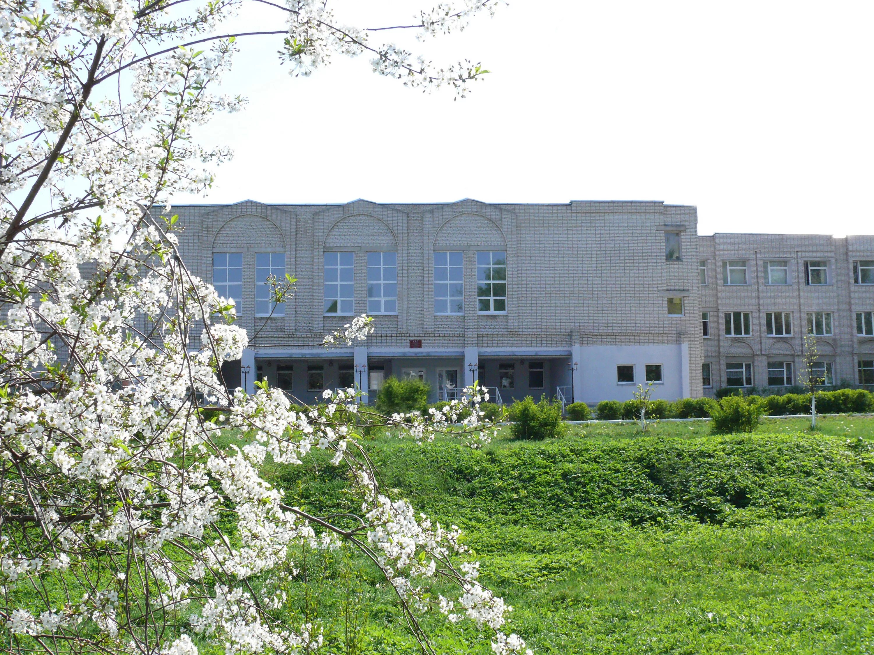 Школа 650 москва. Гороховец школа 1. Мбоу сош гороховец. 1 школа города гороховец. Школа гороховец 3 школа.