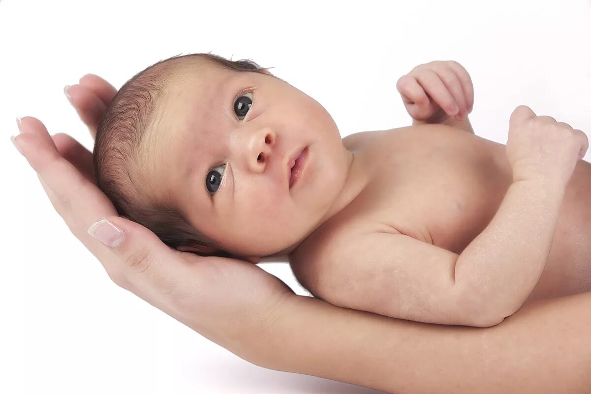 Дети грудного возраста. Доношенный новорожденный. Период новорожденности фото. Картинка новорожденного ребенка. Ранняя новорожденность