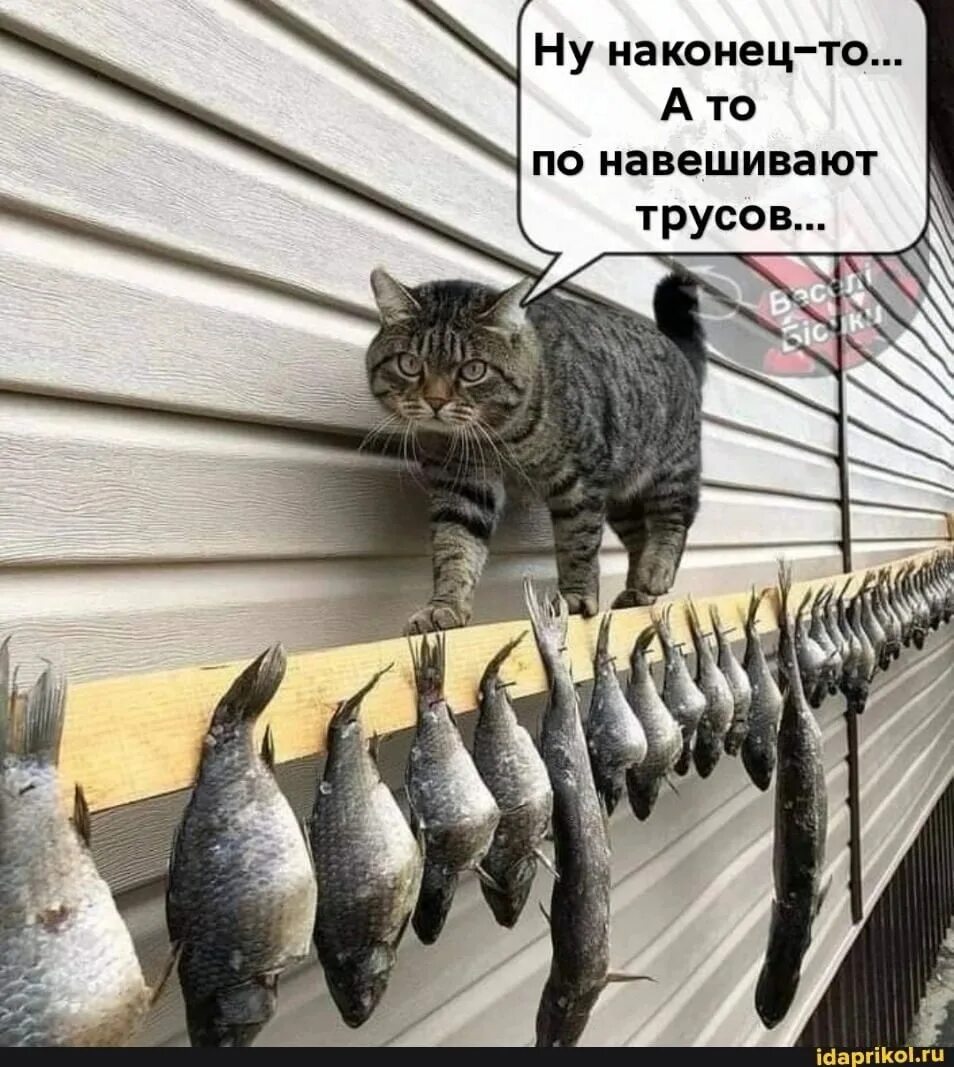 Нсконец то домтойнвц сопернип. Ура картинки. Последний день перед отпуском. Вот это я понимаю а то понавешают трусов. Ну наконец то дождались картинки.