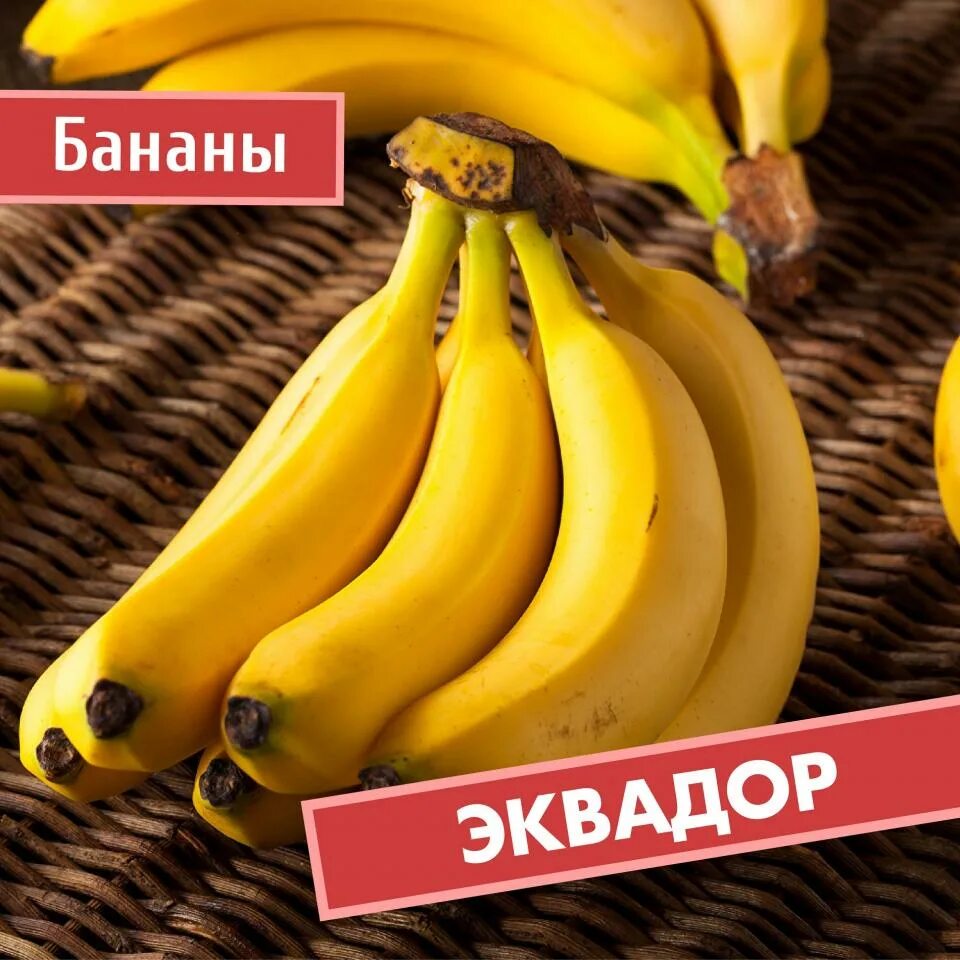 Можно курицам давать бананы. Китайские бананы. 400 бананов. свойства банана. банан для сна.