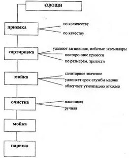 Составьте технологическую схему первичной обработки кабачков